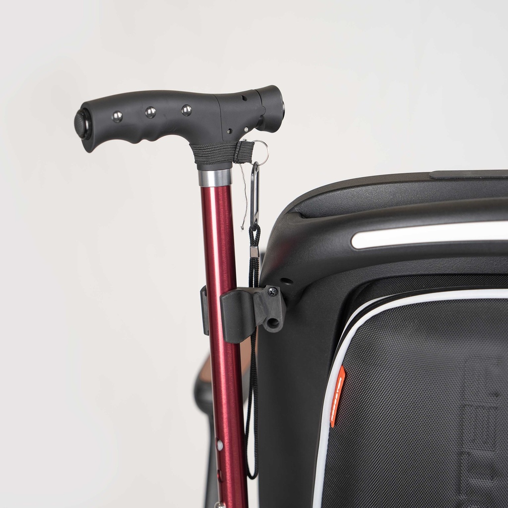 sana.swiss Robooter E60 Pro walking stick holder
