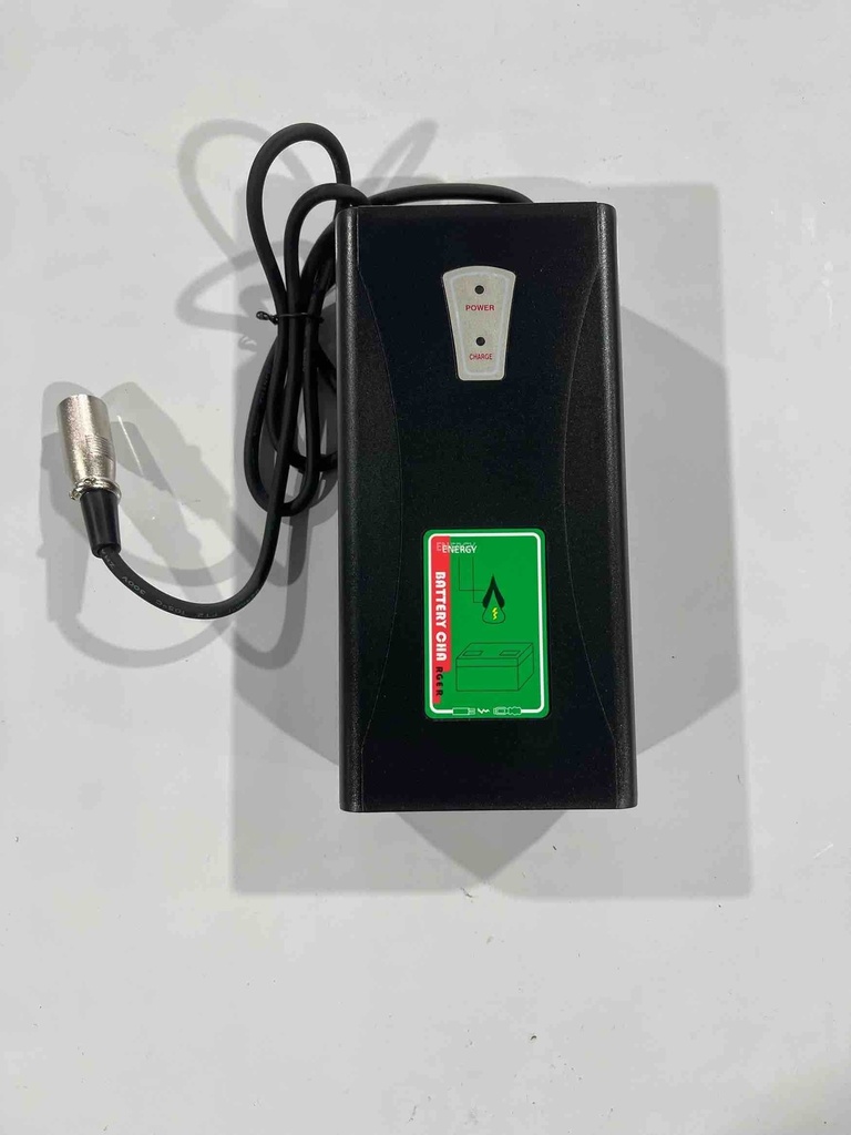 sana.swiss Robooter E40/E60 Caricabatterie 4A (Svizzera)